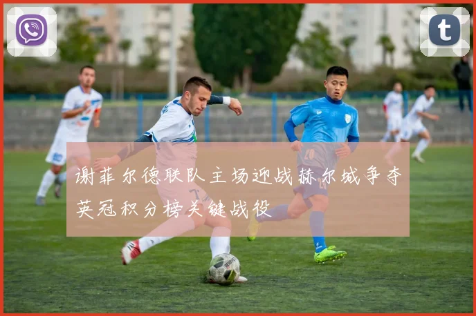 谢菲尔德联队主场迎战赫尔城争夺英冠积分榜关键战役