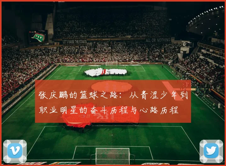张庆鹏的篮球之路：从青涩少年到职业明星的奋斗历程与心路历程
