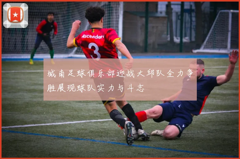 城南足球俱乐部迎战大邱队全力争胜展现球队实力与斗志