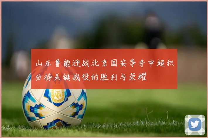 山东鲁能迎战北京国安争夺中超积分榜关键战役的胜利与荣耀